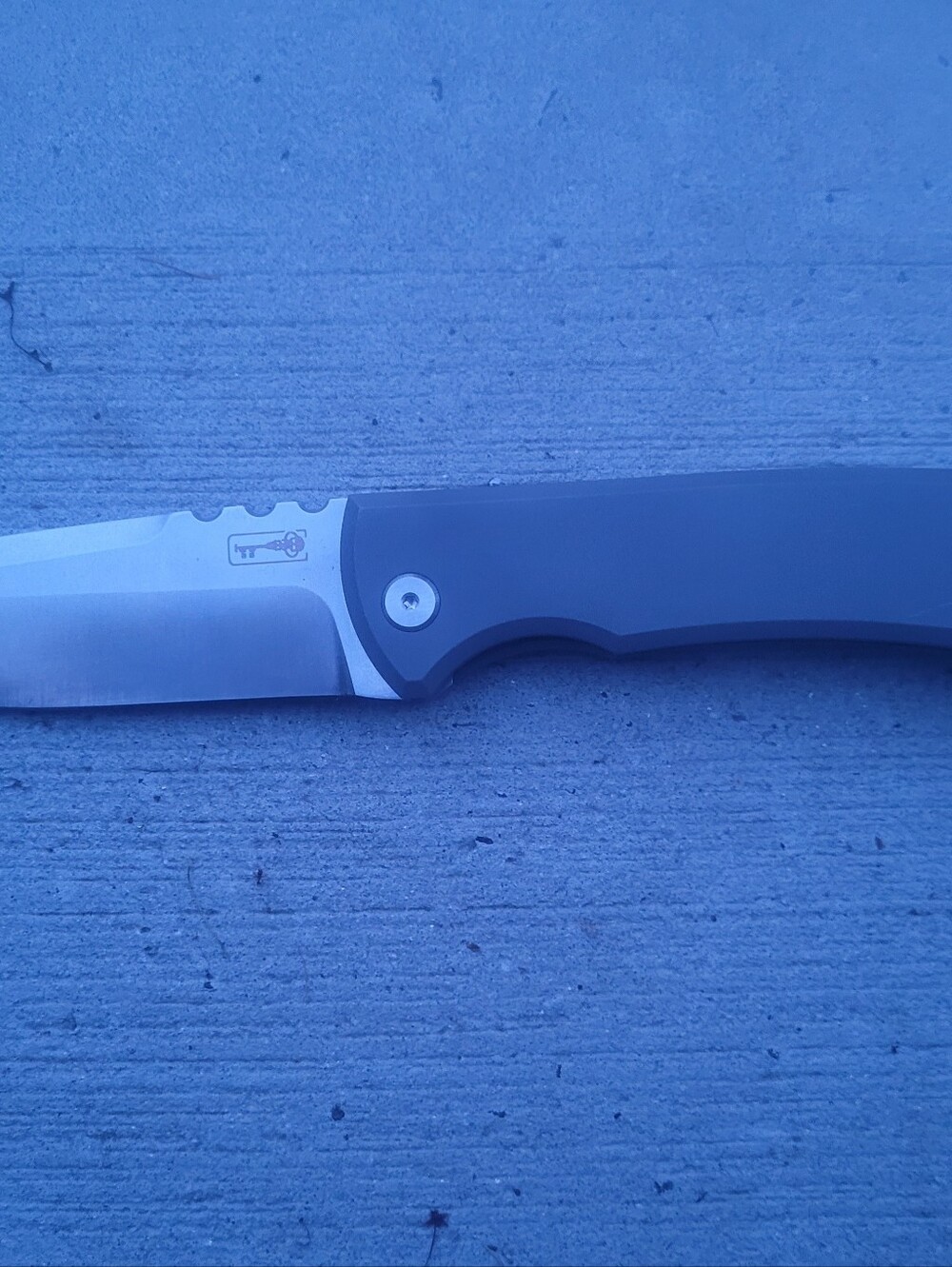 Chavez Rendicion M390 Flipper - Picture 12 of 12